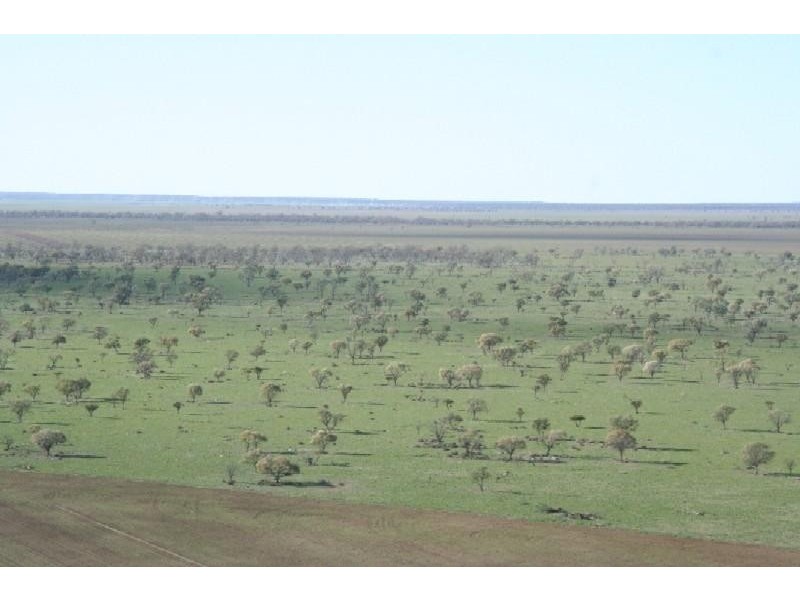 Walgett NSW 2832