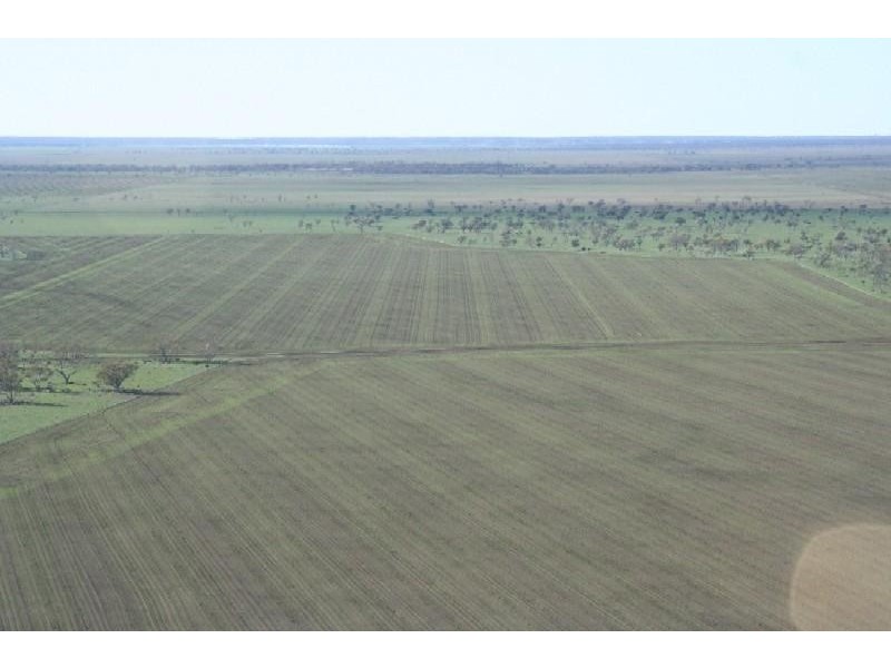 Walgett NSW 2832