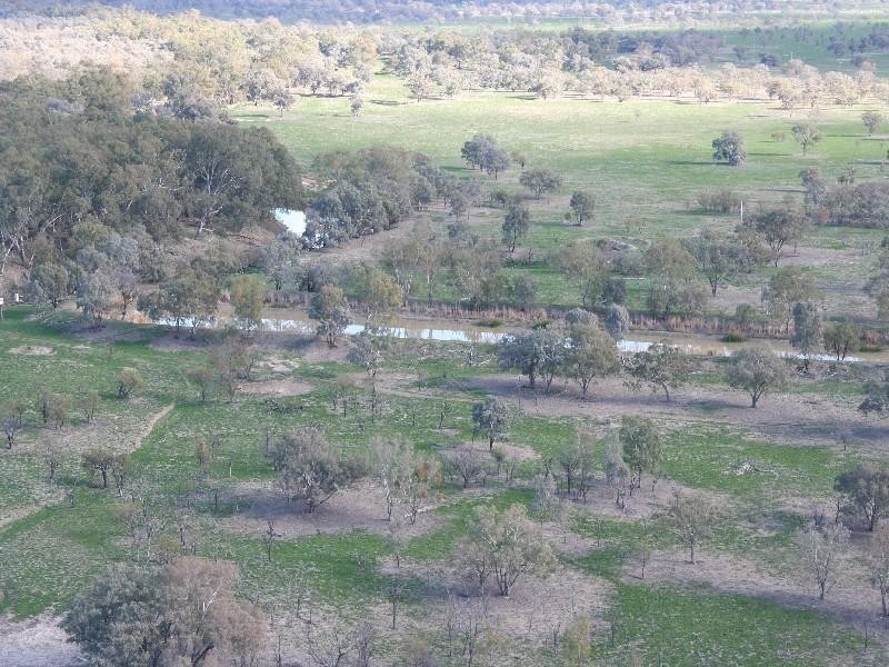 Walgett NSW 2832