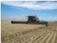 Walgett NSW 2832