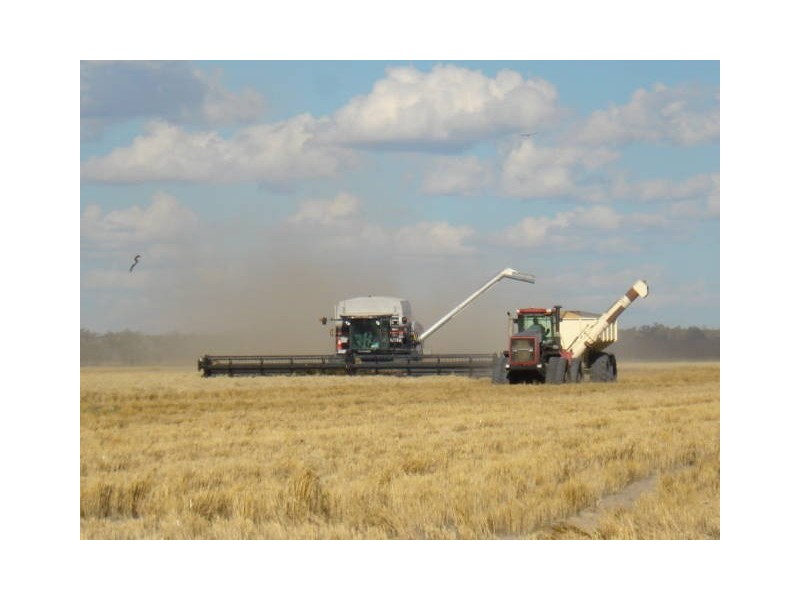 Walgett NSW 2832