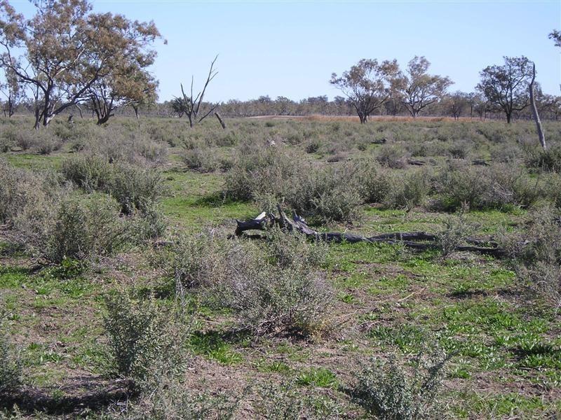 ‘ BONNIE DOON & IVANOE’, Collarenebri NSW 2833