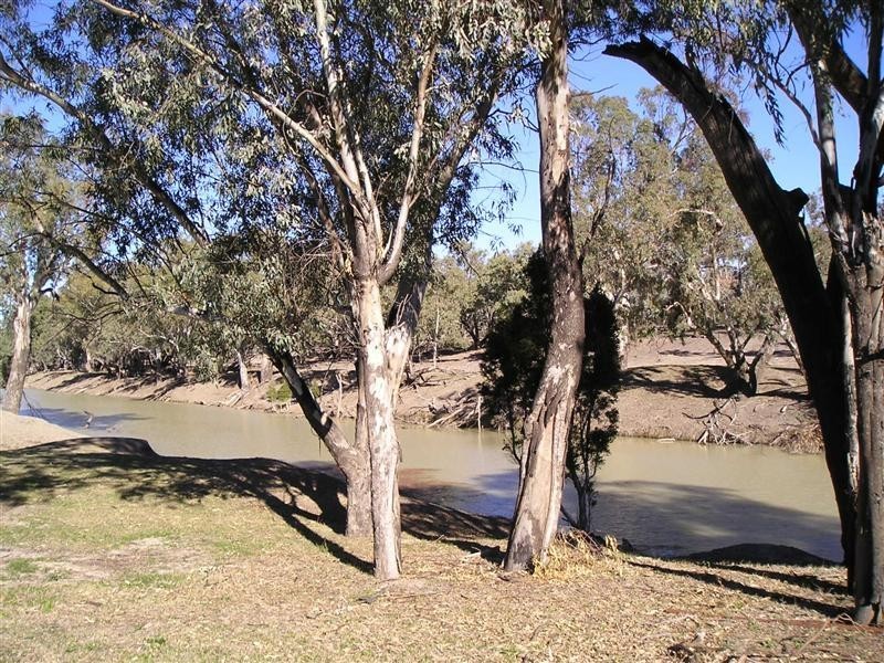 ‘ BONNIE DOON & IVANOE’, Collarenebri NSW 2833