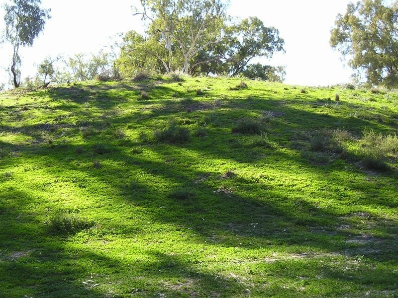 ‘ BONNIE DOON & IVANOE’, Collarenebri NSW 2833