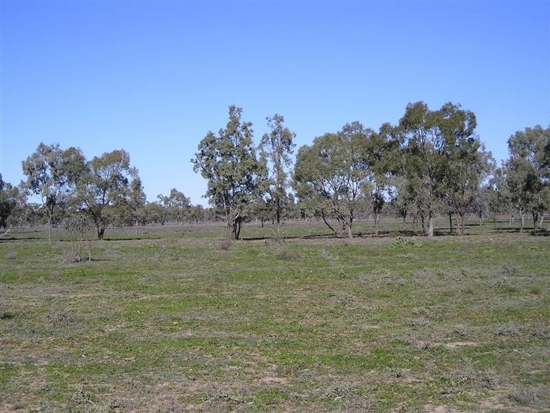 ‘ BONNIE DOON & IVANOE’, Collarenebri NSW 2833