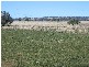 ‘ WESTHOLME’, Warialda NSW 2402