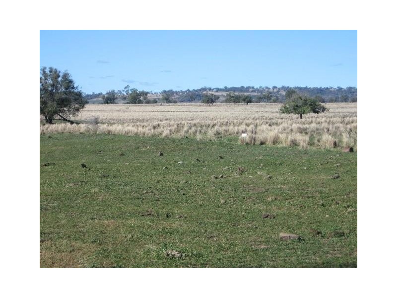 ‘ WESTHOLME’, Warialda NSW 2402