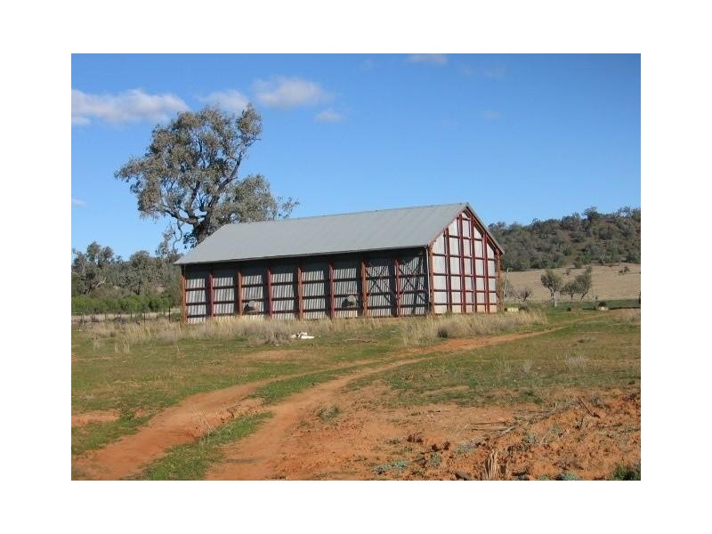 ‘ WESTHOLME’, Warialda NSW 2402