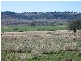 ‘ WESTHOLME’, Warialda NSW 2402