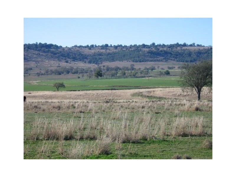 ‘ WESTHOLME’, Warialda NSW 2402