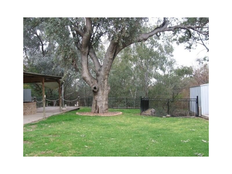 38 Kamilaroi Drive, Moree NSW 2400