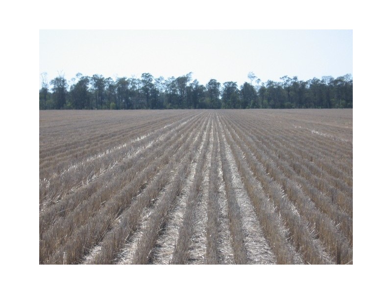 Croppa Creek NSW 2411