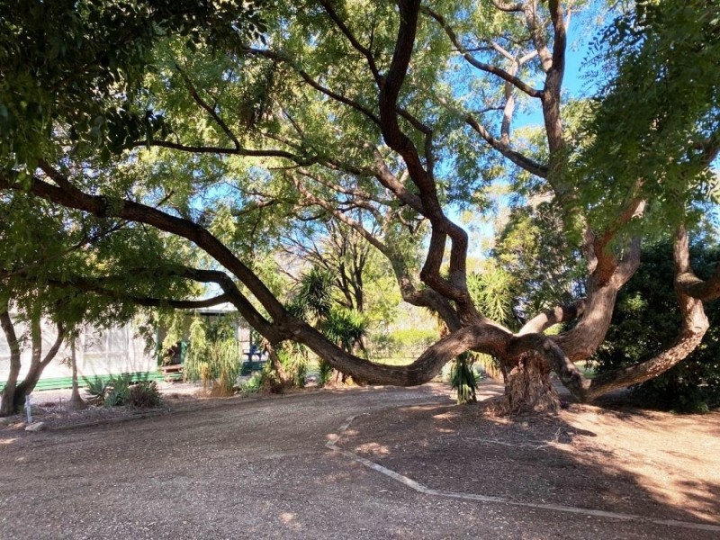 ‘YANOLA’ Bendygleet Road, Moree NSW 2400