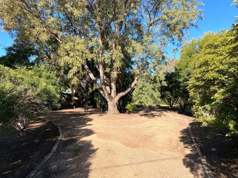 ‘YANOLA’ Bendygleet Road, Moree NSW 2400