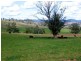 Bingara NSW 2404