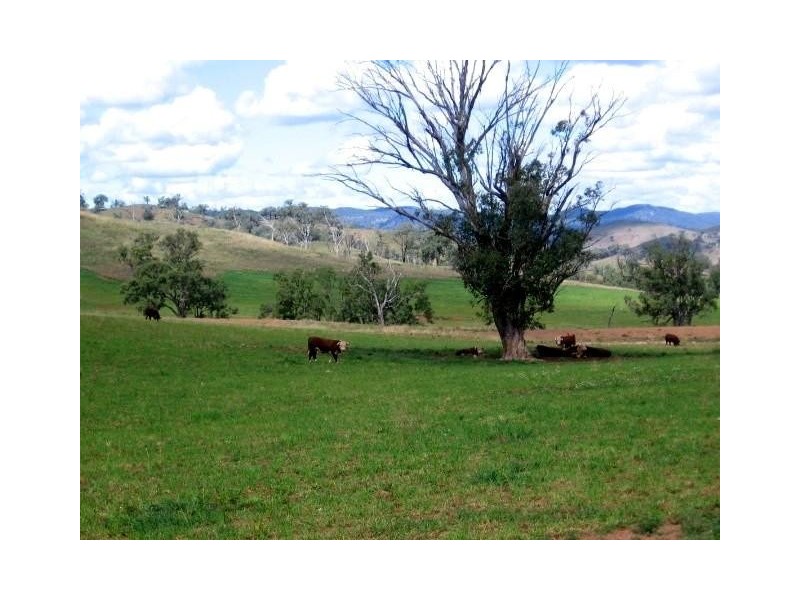 Bingara NSW 2404