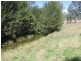 Bingara NSW 2404