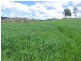 Bingara NSW 2404