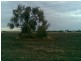Moree NSW 2400
