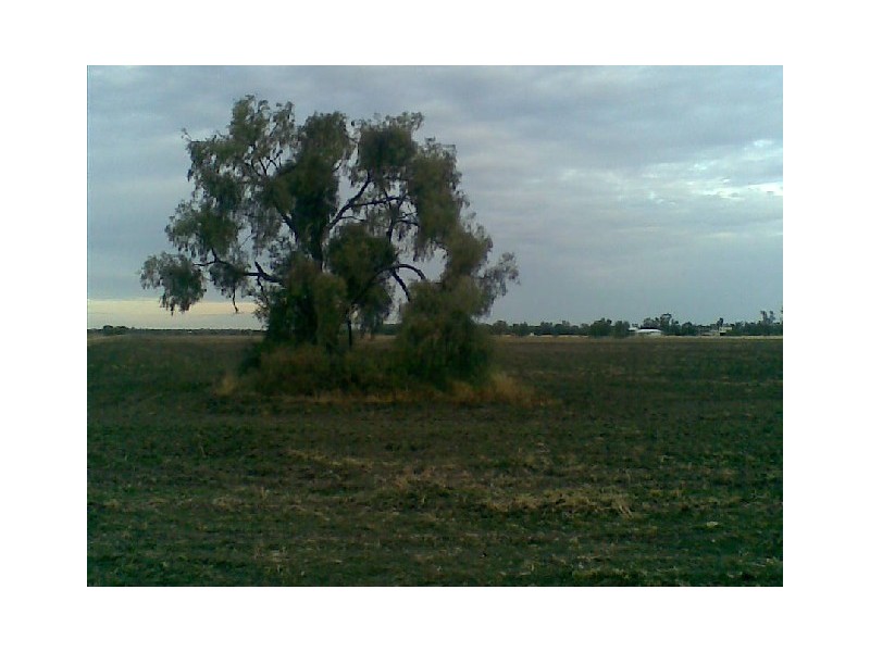 Moree NSW 2400