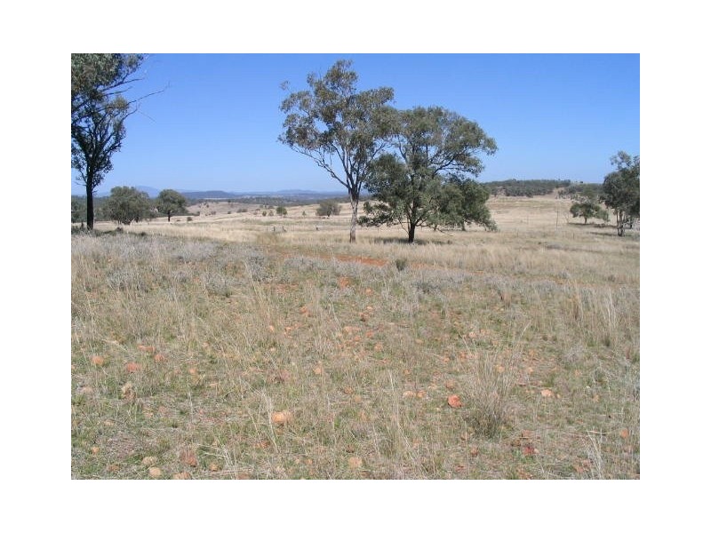 Moree NSW 2400