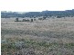 Bingara NSW 2404