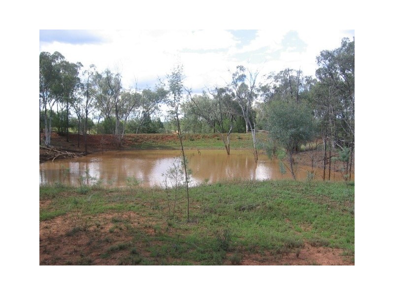 Olivevale, Bingara NSW 2404