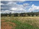 Olivevale, Bingara NSW 2404