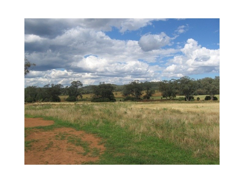 Olivevale, Bingara NSW 2404