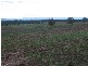 Olivevale, Bingara NSW 2404