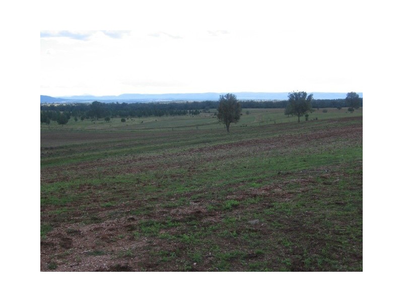Olivevale, Bingara NSW 2404