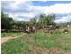 Olivevale, Bingara NSW 2404
