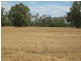 Moree NSW 2400