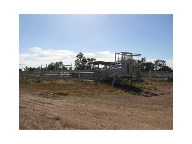 Moree NSW 2400