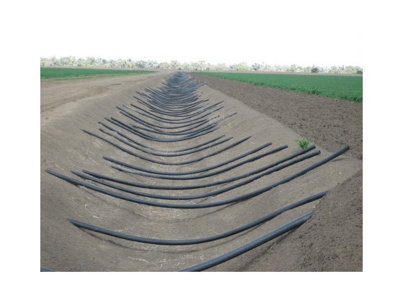 Burren Junction NSW 2386