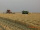 Hay NSW 2711