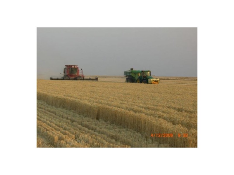Hay NSW 2711