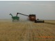 Hay NSW 2711