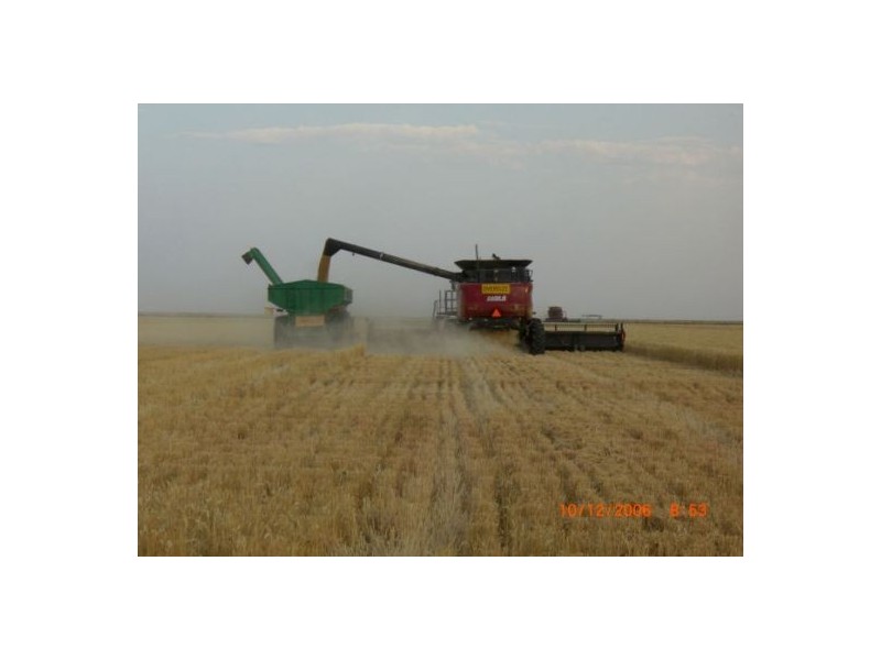 Hay NSW 2711
