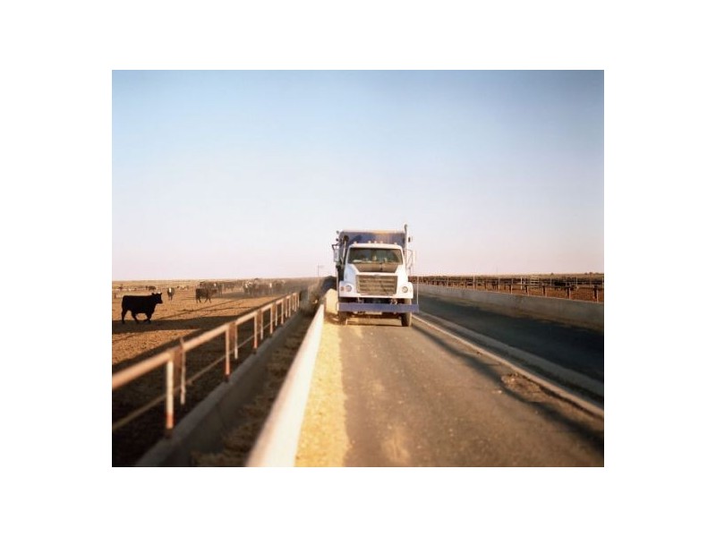 Hay NSW 2711