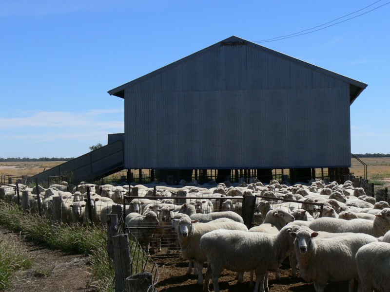 ” Benelkay”, Walgett NSW 2832
