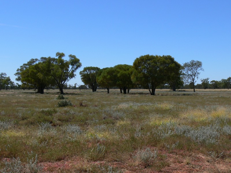 ” Benelkay”, Walgett NSW 2832