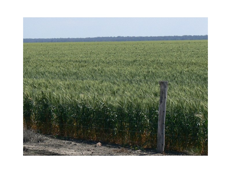 ” Benelkay”, Walgett NSW 2832