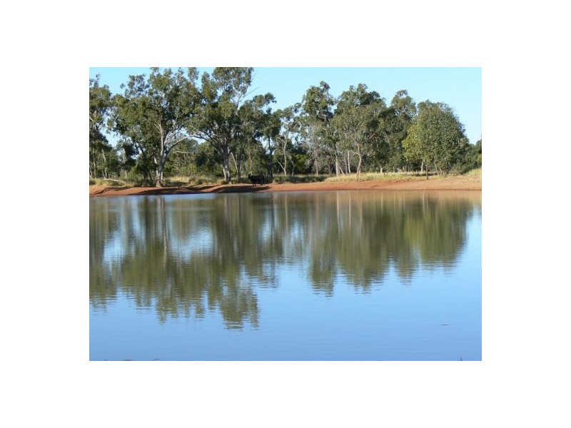 Moordale, Walgett NSW 2832