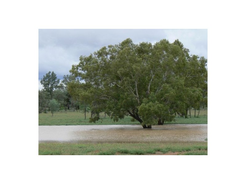 Moordale, Walgett NSW 2832