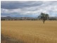 Warialda NSW 2402
