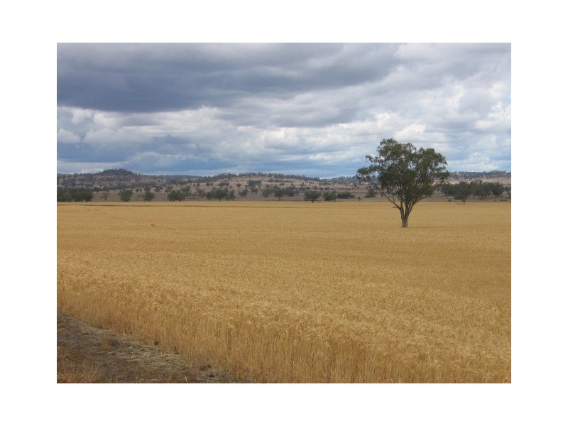 Warialda NSW 2402