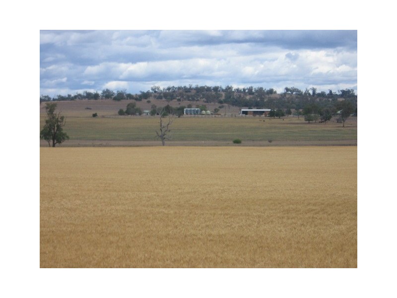 Warialda NSW 2402