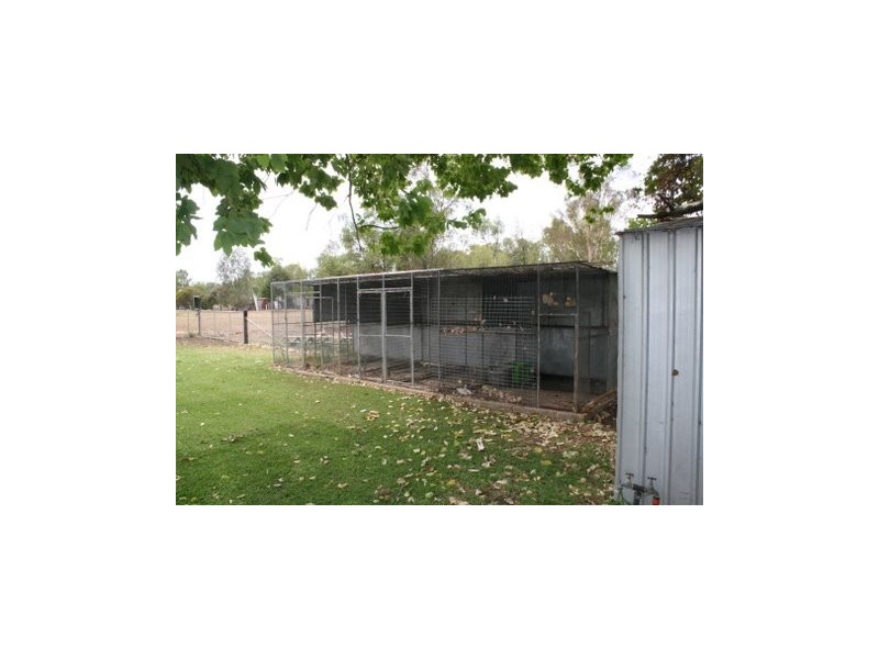 88 WARIALDA STREET, Pallamallawa NSW 2399