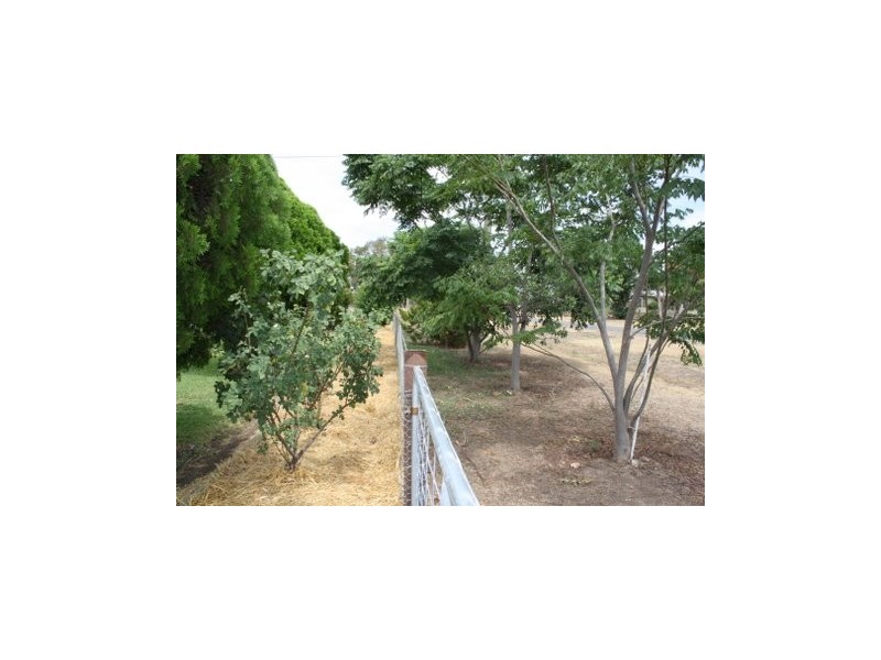 88 WARIALDA STREET, Pallamallawa NSW 2399